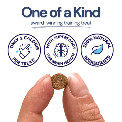 Beef Mini Training Treats for Dogs
