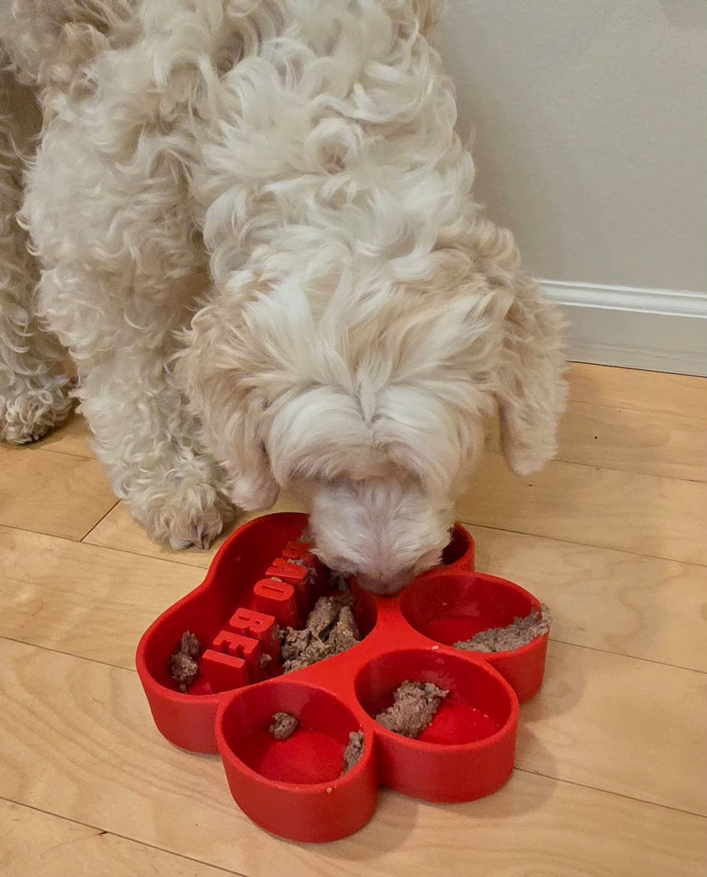 Personalized Paw-Shaped Slow Feeder Bowl | Custom Dog Gift