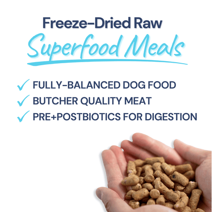 Turkey Meal Bites – Gut-Supporting Freeze-Dried Nutrition for Dogs