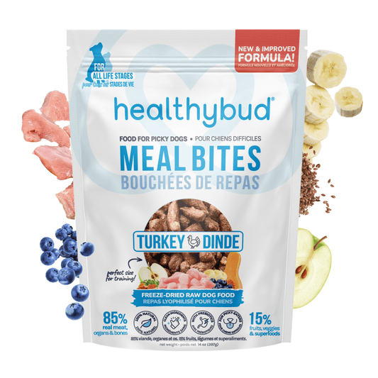 Turkey Meal Bites – Gut-Supporting Freeze-Dried Nutrition for Dogs