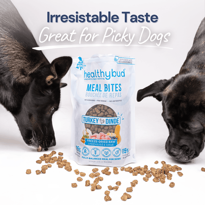 Turkey Meal Bites – Gut-Supporting Freeze-Dried Nutrition for Dogs