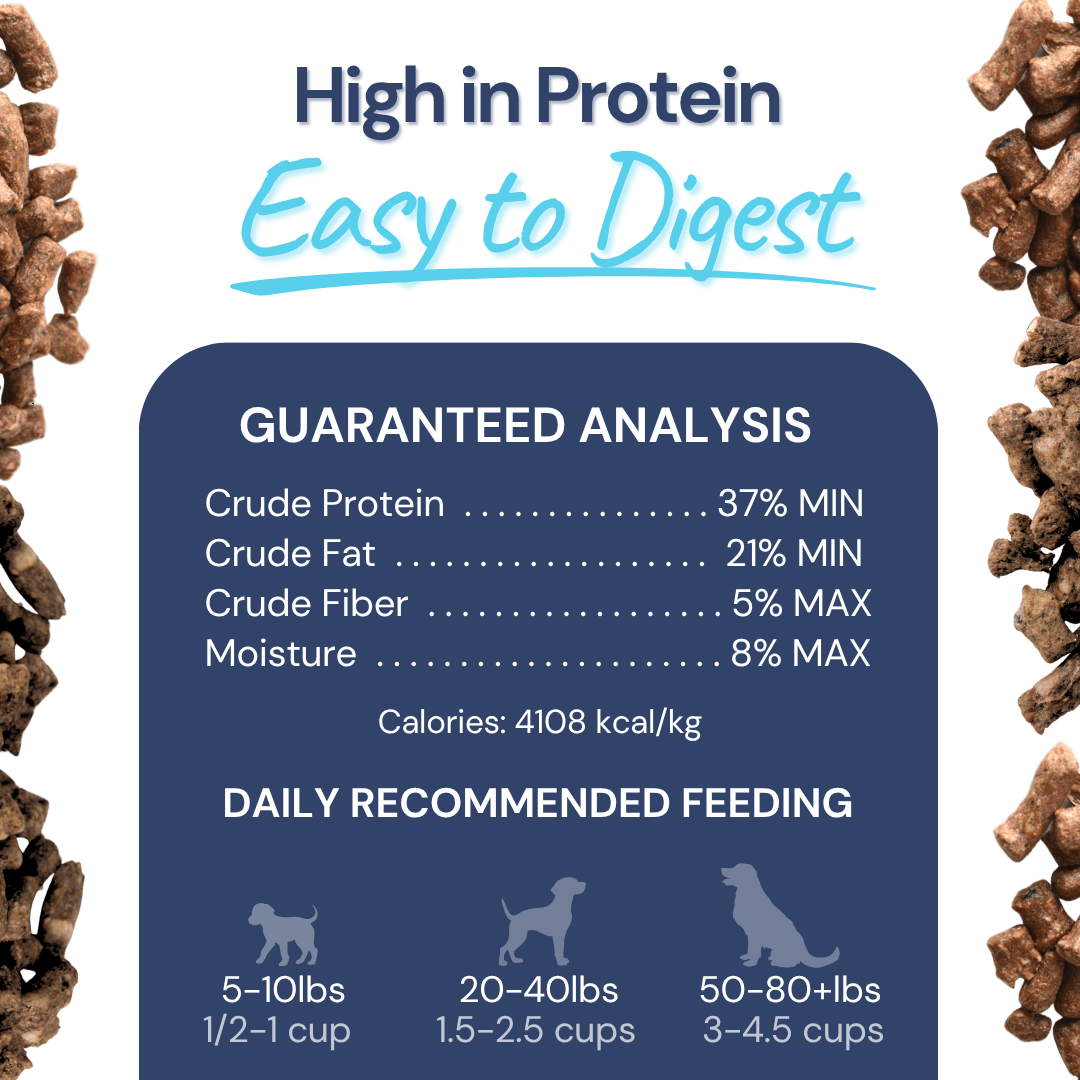 Turkey Meal Bites – Gut-Supporting Freeze-Dried Nutrition for Dogs