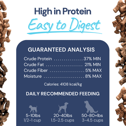 Turkey Meal Bites – Gut-Supporting Freeze-Dried Nutrition for Dogs