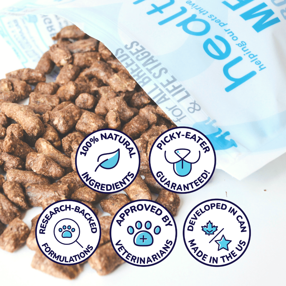 Turkey Meal Bites – Gut-Supporting Freeze-Dried Nutrition for Dogs