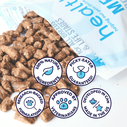 Turkey Meal Bites – Gut-Supporting Freeze-Dried Nutrition for Dogs