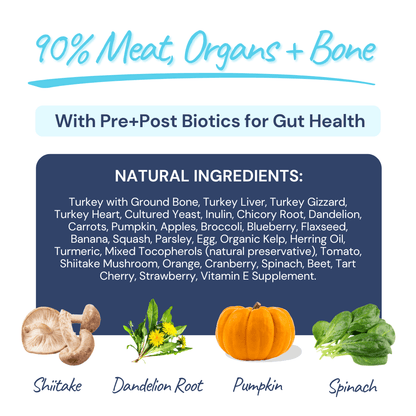Turkey Meal Bites – Gut-Supporting Freeze-Dried Nutrition for Dogs